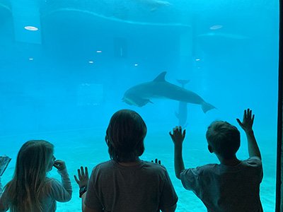 Under the sea with marine life for our students at the Baltimore Aquarium.